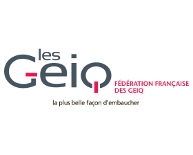 logo de GEIQ Industries, partenaire de 5i conseil